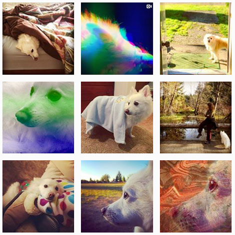 Instagram photos of Joey